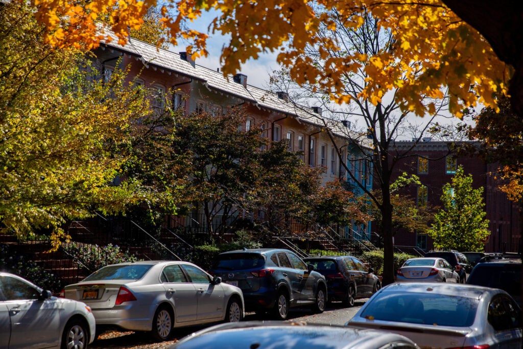 cars parked on a tree lined street in a Georgetown neighborhood