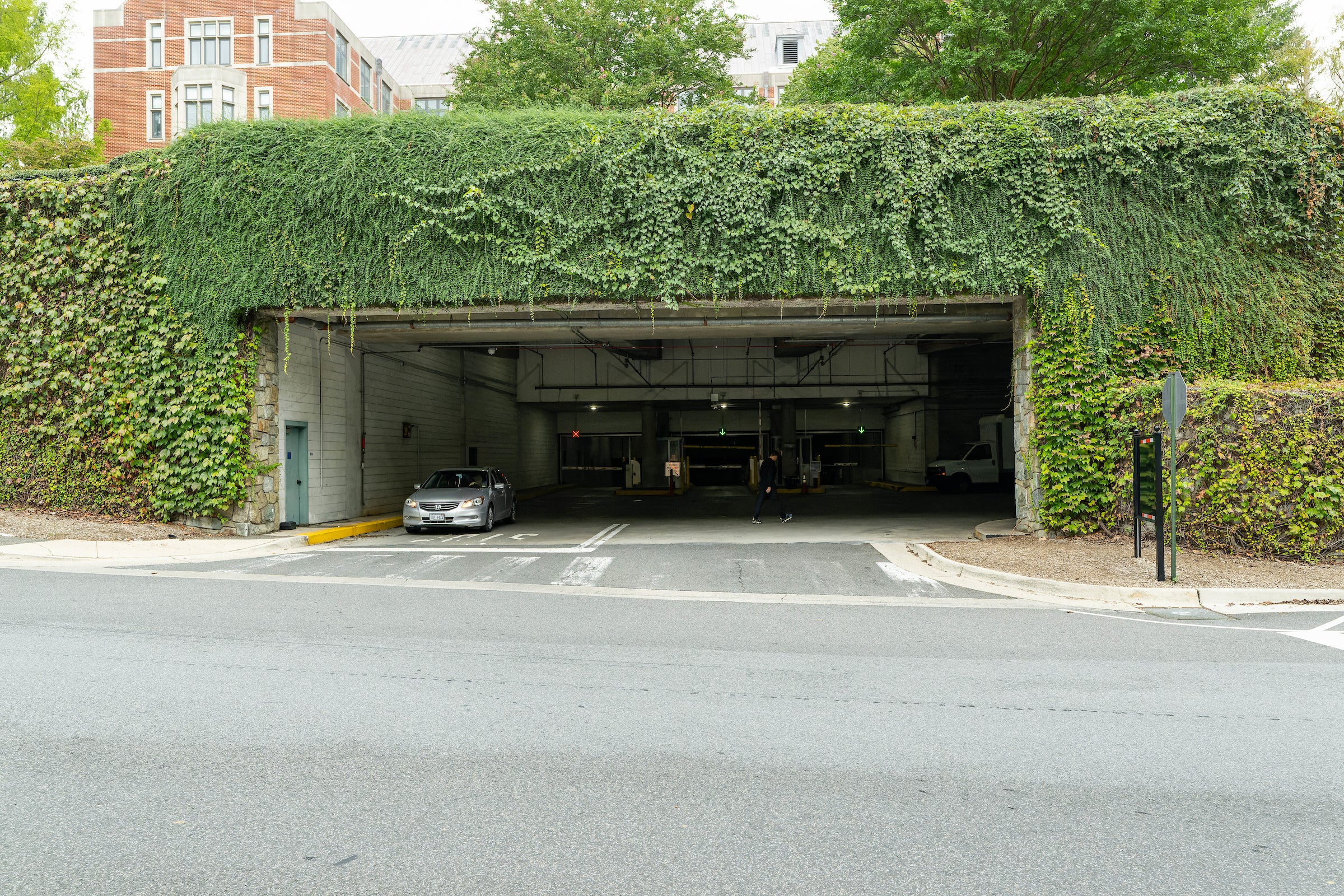 Southwest Garage entrance, with green plants on exterior